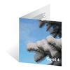 Bild von Weihnachtskarten quadratisch 150 x 150 mm (Doppelkarte)